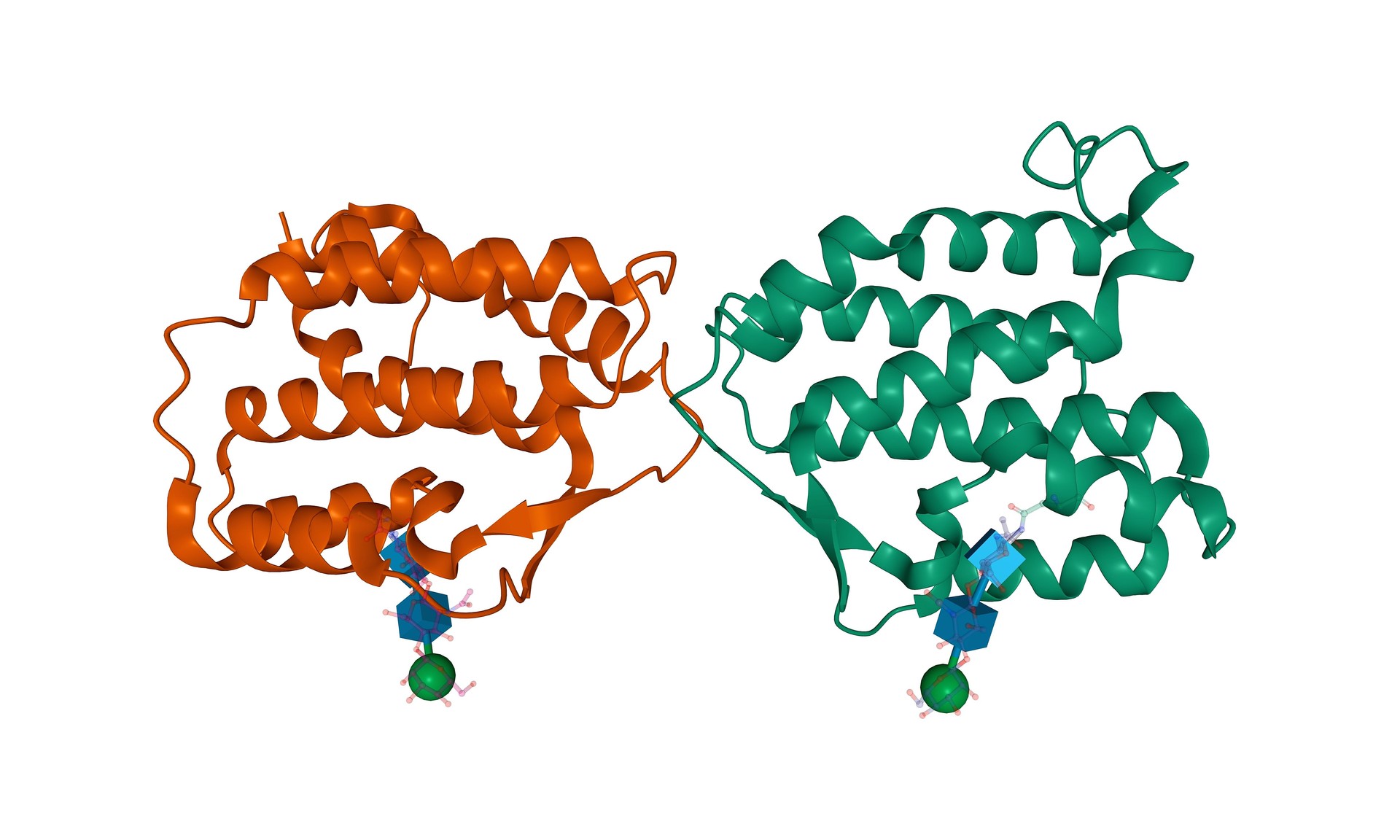 Structure of human interleukin-34 homodimer
